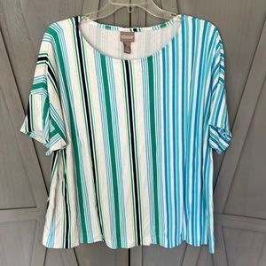 Multi striped shirt from Chico’s.